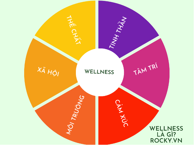 6 yếu tố chính của mô hình wellness